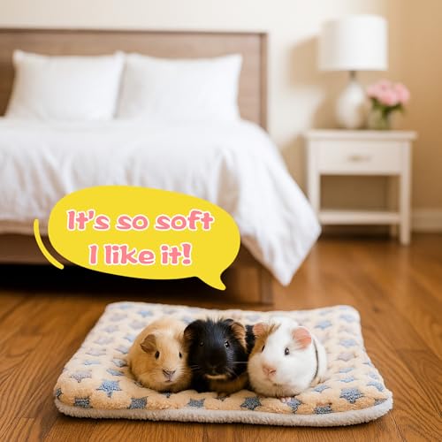 10 Pcs Guinea Pig Mats for Cage Washable, 13 x 10.6 Inch Guinea Pig Fleece Cage Liners, Soft Pet Bedding Pads for Small Animals Like Bunny Hamster Hedgehogs Indoor Use (5 Colors)