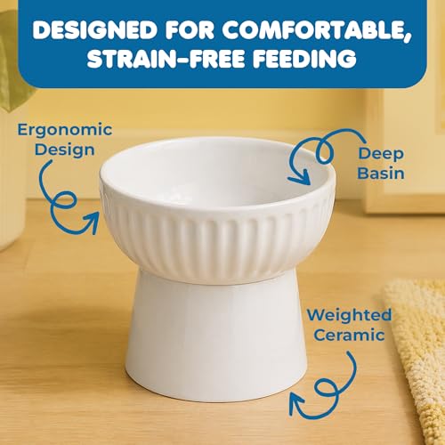 SunGrow Ceramic Cat Bowl with Stand, Suitable Eating Height for Pets, Raised Food Bowl, Mealtime for Your Cats, Stoneware Feeding Station