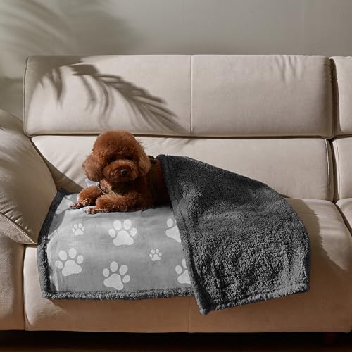 Kritter Planet Waterproof Reversible Pet Blanket for Small Dogs | 30 x 50 Inch, Washable Pet Protector for Sofa, Couch, Crates and Car Seats, Guards Against Fur, Dirt and Everyday Spills - color: Paw Print, size: 50"x30"