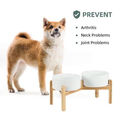 Havniva Dog Bowls Elevated, Ceramic Dog Food and Water Bowl Set | 7.3” Raised Dog Food Bowl, Elevated Dog Bowls with Bamboo Stand, Non-Slip Dog Water Bowl for Medium Dog, Large Capacity - color: Matte White, size: 7.3" - 2 Bowls+Stand