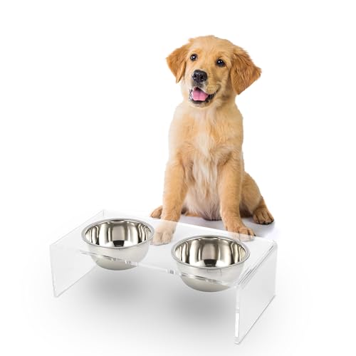 DBL2000A Keaton 5" Small/Medium Modern Lucite Rectangular Elevated Pet Feeder with 20oz 2-Stainless Steel Bowls, Clear/Chrome - color: Clear/Chrome, size: 20 Ounces (5" Cups 2-Pack)