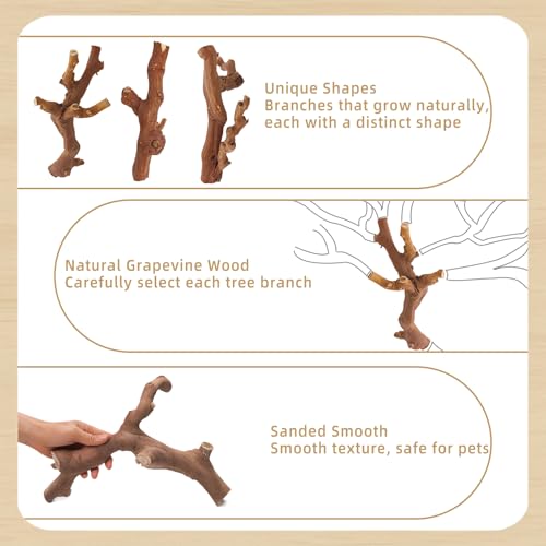 kathson 2PCS Wood Hamster Climbing Branches Decor, Natural Wooden Syrian Hamster Climb Chewing Toys, Rat Exercise Toys, Small Animal Habitat Decor Accessories for Dwarf Pets, Gerbils, Mice (7.8IN) - size: 7.8IN