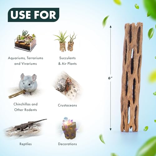 Natural Cholla Wood - Driftwood for Aquariums, Air Plant Base, Hermit Crab and Freshwater Shrimp Hideout, Fish Tank Decoration, Chinchilla Chews, Reptile Habitat Wood - 6 Inch, 5pc - size: 6 Inch, 5pc