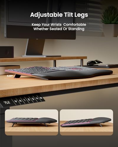 ProtoArc EKM01 Plus Wireless Ergonomic Keyboard Mouse Combo - Wine Red | Full-size Split Keyboard with Cushioned Wrist Rest, Ergonomic Mouse, 3-Device Bluetooth/2.4G, USB-C Rechargeable - color: Wine Red