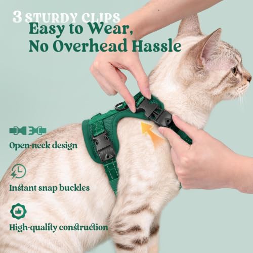 rabbitgoo Cat Harness and Leash, Easy-on with Neck Buckle, Dark Green | Escape Proof, No Over-the-head, Soft Air Mesh, 3 Lockable Adjusters & Buckles, Reflective, for Kittens & Small Cats Walks, Xs - color: Dark Green, size: Xs