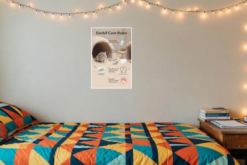 Gerbil Care Rules Educational 12x18 US Made Poster