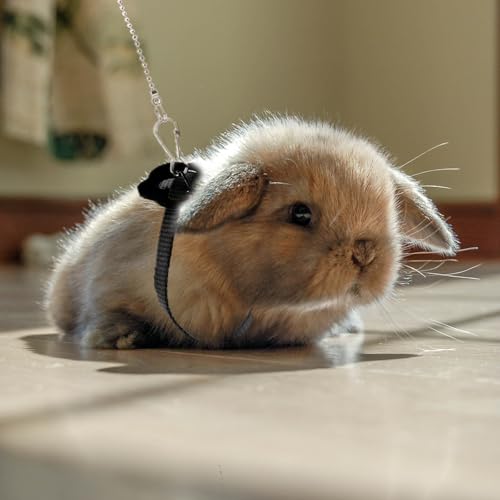 2 Pack Adjustable Hamster Leash Harness for Harness for Ferret Baby Rabbit Hamster Rat Mouse Leash Lead with Bell (Black) - color: black