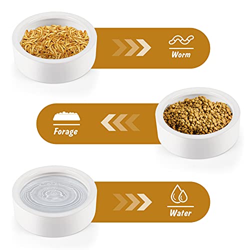 Worm Dish Large 2Pcs Reptile Food Water Bowl Lizard Gecko Ceramic Pet Bowls | Mealworms Bowl for Bearded Dragon Chameleon Hermit Crab Dubia Rock Reptile Cricket Dish Anti-Escape Mini Reptile Feeder - color: White, size: Large-2Pack