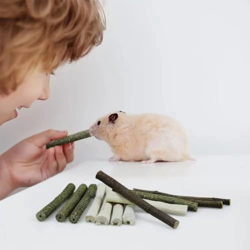 300g Guinea Pig & Rabbit Chew Toys with Apple & Timothy Sticks - Prevent Overgrown Teeth with Sweet Bamboo Treats - Ideal Rabbit Treats Included - color: 300g