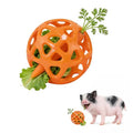 Hanging Treat Dispenser Ball and Chew Toy for Mini Pigs