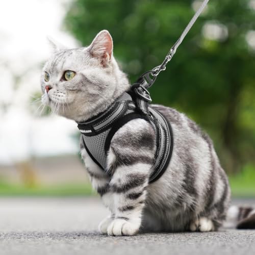 rabbitgoo Cat Harness and Leash Set, Step-in Soft Vest, Grey | Escape Proof, Lightweight, Easy-on & Adjustable, Hook & Loop with Buckle, Reflective, for Kittens & Small Cats Walks, S - color: Grey, size: S