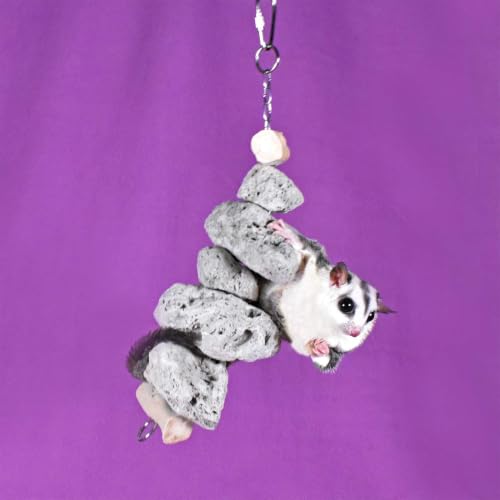 Exotic Nutrition Pumice Chew Dangle - Natural Healthy Hanging Cage Accessory Toy - for Squirrels, Degus, Chinchillas, Prairie Dogs, Birds, Rats, Hamsters, Guinea Pigs & Other Small Pets (Dark Gray) - color: Dark Gray
