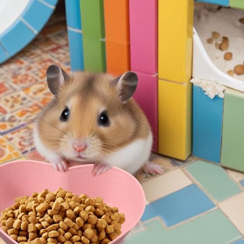 3 Pcs Guinea Pig Food Bowl Heart Hamster Food Water Bowl Plate Plastic Anti-Turning Water Dish Gerbil Drinking Bowls for Dwarf Syrian Hedgehog Gerbil Small Animals Rat Rodent, 2.9“ x0.9“