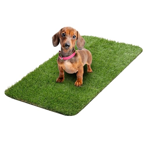 Ottomanson Artificial Grass Puppy Potty Training Pad, 15" x 30" Reusable Pee Pad for Small Pets and Dogs - color: A Grass, size: Pet - 15" x 30"