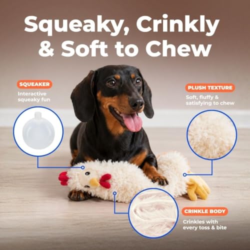 Best Pet Supplies Interactive Squeaky Dog Toy - Crinkle Chicken, Beige | Stuffing Free Body, Soft, Squeaks & Crinkles, No Mess, Perfect for Moderate Chewers, Toss and Fetch Play - color: Crinkle Chicken (Beige), size: Large