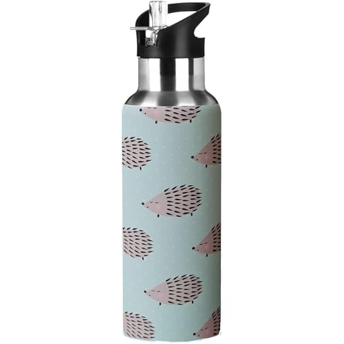 Kids Water Bottle with Straw,Hedgehog Bottle Vacuum Insulated Stainless Steel Travel Mugs Tumbler For Sport School Outdoor 20 oz - color: Blue Hedgehog