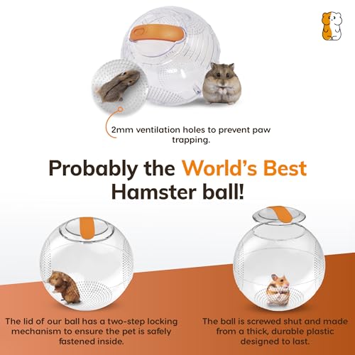 Clear Hamster Exercise Ball 7” – Pet Rat Accessories | Sturdy Dwarf Hamster Ball for Safe, Active Play – Ventilated Small Animal Toys for Gerbils, Mice & Other Small Pets - size: Roam Ball