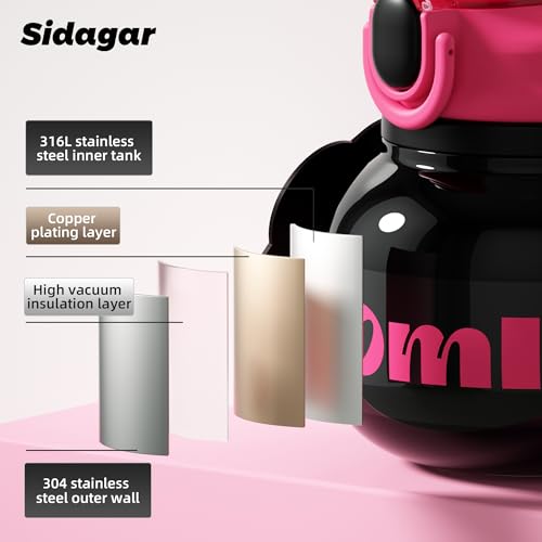 27 oz Insulated Water Bottle with Straw Lid, Leakproof, Black | Premium 316L Stainless Steel, Leakproof, Wide Mouth Water Jug with Handle, All-day Hot or Cold Retention, Travel & Daily Use - color: Black, size: 27 Ounces