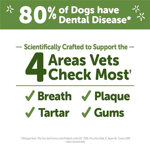 Wellness Whimzees Brushzees Natural Dog Dental Treat, VOHC Accepted Chews, Freshens Breath, Extra-Small Size, 12.7 oz Bag, 48 Count (Pack of 2) - size: 48 Count (Pack of 2)