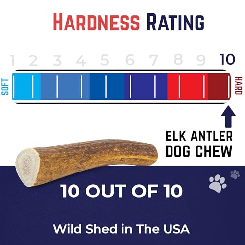 Devil Dog Pet Co Whole Elk Antlers for Dogs, Large, Aggressive Chewers | Naturally shed Grade A Rocky Mountain elk antler, single ingredient, long lasting, 6 in+, fits breeds up to 75 lb - style: WHOLE - Large - 1 Pack