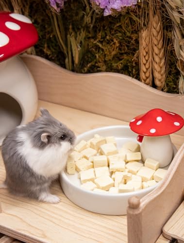 Niteangel Hamster Feeding & Food Bowls: Mushroom Ceramics & Chew-Resistant | Easy to clean & Stable Food Dish Feeding Bowls for Dwarf Syrian Hamsters Gerbils Mice Rats or Other Similar-Sized Small Pets - size: Feeding Bowl
