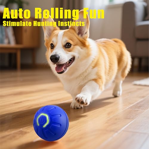 Interactive Self-Moving Pet Toy Ball - Motion-Activated Auto Rolling, Military-Grade Chew Resistant, USB-C Rechargeable for Small Dogs & Cats (Orange, Small) (Blue, Small)