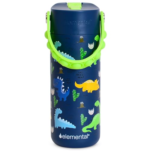 Elemental Insulated Kids Water Bottle, Stainless Steel Water Bottle with Straw Lid & Pop-It Handle, Leak-Proof Water Bottles for School, Boys or Girls, Travelling and Sports, 18oz - Dinosaur - color: Dinosaur