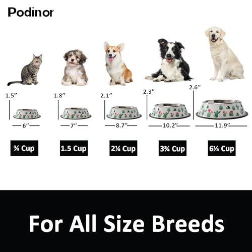 Stainless Steel Dog Bowls, Food and Water Non Slip Anti Skid Stackable Pet Puppy Dishes for Small, Medium and Large Dogs (2 Pack) - color: Cactus, size: 2¼ Cup/18 oz