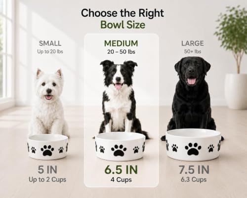 Ceramic Dog Bowls Set, 6.5''×2.5'', with Anti-Slip Rings, 3 Cups Capacity - size: 6.5 in