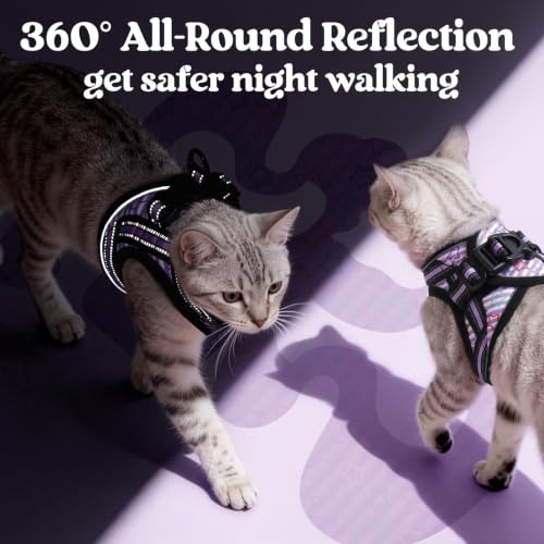 rabbitgoo Cat Harness and Leash Set, Step-in Soft Vest, Stars & Stripes | Escape Proof, Lightweight, Easy-on & Adjustable, Hook & Loop with Buckle, Reflective, for Kittens & Small Cats Walks, S - color: Stars & Stripes, size: S