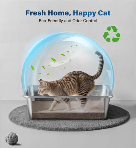 Qiuma Stainless Steel Cat Litter Box, Metal Kitty Litter Box for Small Cats, Non-Stick, Easy to Clean, Odor-Free, 15.6"×11.6"×3.9", Low Entry for Kittens, Rabbits & Small Breeds - size: 15.6"L×11.6"W×3.9"H, style: ValuePro Series（No Handle）