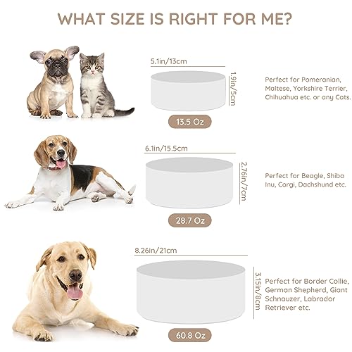 SPUNKYJUNKY 13.5OZ Ceramic Dog and Cat Bowl, Modern Cute Weighted Food Water Bowl for Replacement White (1 Pack) - color: White, size: 1.7 CUPS
