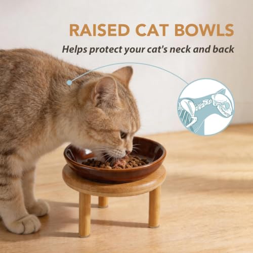 Havniva Elevated Cat Bowls, Ceramic Cat Bowl with Bamboo Stand Wide Opening | 5.7” Raised Cat Food Bowls, Whisker Friendly Cat Dish, Anti-Slip Cat Water Bowls, Shallow Cat Bowls, Cat Food & Water Bowl - color: Brown