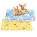 2 Pcs Guinea Pig Bed, Washable Rabbit Bunny Bed Mat Soft Small Animal Winter Bed Pads Sleeping Pads for Rat Chinchilla Hedgehog Hamster Squirrel Ferret (19 x13 inch) - size: 19 x13 inch