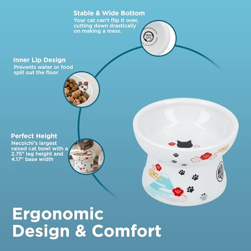 Necoichi Ceramic Elevated Cat Food Bowl (Fuji, Regular Flat) - color: Fuji, size: Regular