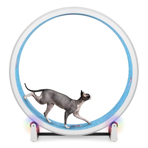 One Fast Cat - Cat Exercise Wheel - Made in the USA - 48" Diameter - Gen. 7 | White with Koi Pond Foam Traction Pads and Light-Up LED Inline Wheels - color: White Wheel / Koi Pond Foam / LED Inline