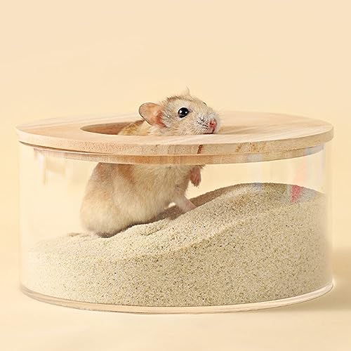 DR.DUDU 2.8lb Hamster Sand for Sand Bath, Hamster Cage Accessories(Beige) | Dust Free Desert Sand for Gerbil Chinchillas Syrian Mice Small Animals - color: Beige, size: 2.8lb