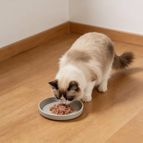 2 Pack 7 Inch Shallow Pet Bowls - Silicone Cat & Dog Food Dishes for Whisker Fatigue Relief - Non-Slip Flat Feeding Bowls for Dry/Wet Food & Water (Light Brown) - color: Light Brown