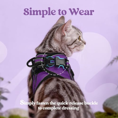 rabbitgoo Cat Harness and Leash Set, Step-in Soft Vest, Purple | Escape Proof, Lightweight, Easy-on & Adjustable, Hook & Loop with Buckle, Reflective, for Kittens & Small Cats Walks, S - color: Purple, size: S