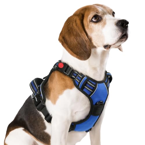 rabbitgoo Dog Harness Medium Sized, Updated Easy On & Off with 3 Buckles | No Pull No Choke, Walking with 2 Clips and Handle, Adjustable Soft Reflective, Blue, Medium - color: Blue, size: Medium