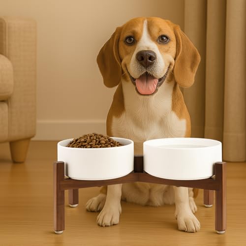 SPUNKYJUNKY Raised Ceramic Dog Bowls Set with Non-Slip Acacia Wood Stand for Medium Sized Dog(42.27 OZ, White) - color: White, size: 42.27 Oz
