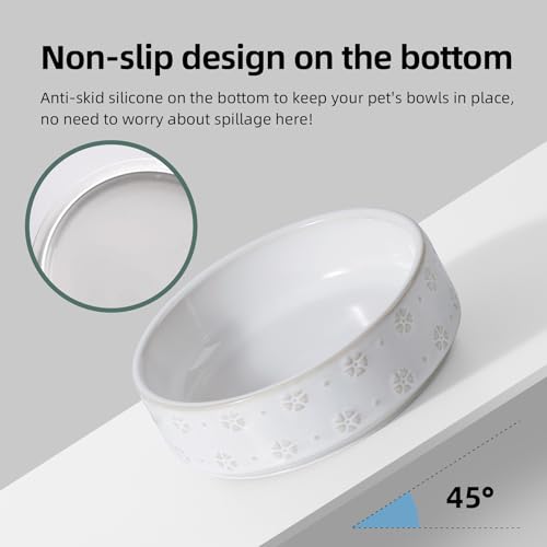 Havniva Ceramic Cat Food Bowl, 6.1" Raised Cat Bowls with Acacia Wood Stand | Elevated Cat Bowls, Whisker Friendly, Extra Wide Opening, Aesthetic Cat Dishes, Elegant Pet Bowls, Food-grade Ceramic, Kitten - color: 2 Bowls+Stand- Arctic White