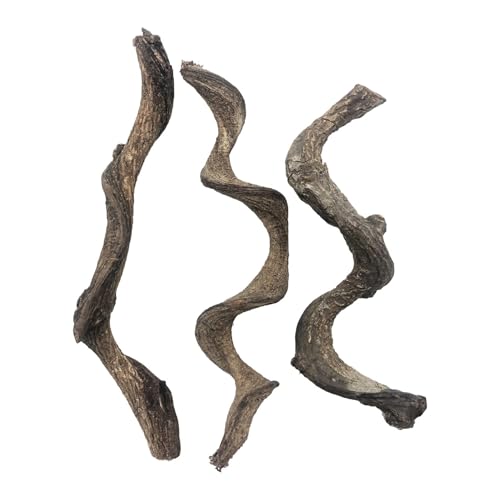 Reptile Decor 3PCS Natural Forest Branch Terrarium Habitat Decoration Lizard Climbing Tree Branch for Bearded Dragon Gecko Snake Frog Chameleon Spider