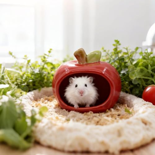 RUIAN Hamster Hideout - Ceramic Hamster Hide for Syrian and Dwarf Hamsters, Hamster House and Hamster Sand Bath Cave, Gerbil Hideout for Small Animal Cage Accessories (Red) - color: red