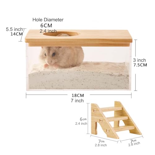 Transparent Hamster Sand Bath Box for Hamster Cage Accessories, Digging Sand Container with Climbing Ladder, Large Sandbox for Hamsters Dust Bath and Play Sand (M, Rectangle) - size: M