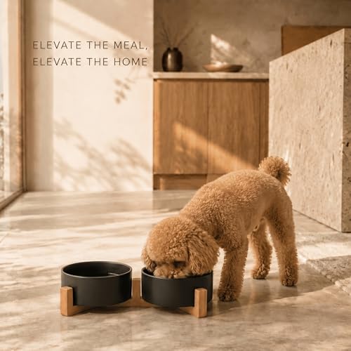 SPUNKYJUNKY Ceramic Dog and Cat Bowl Set with Wooden Stand, Modern Cute Weighted Food Water Set for Small Size Dogs (13.5OZ) & Medium Sized Dogs (28.7OZ) & Cats (1.7 Cups, 2 × Black) - color: Black × 2, size: 1.7 cups
