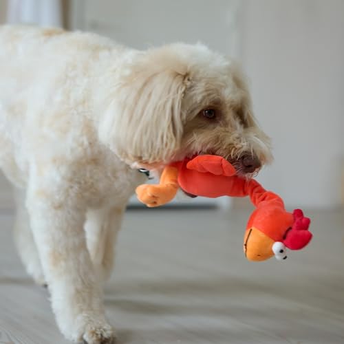 SPOT Chirpies Plush Dog Toy – Bird Sound Squeaky Toy for Small and Medium Dogs, Light to Moderate Chewers, Stretchy Bungee Neck, Recycled Stuffing – 14 in, Assorted Styles