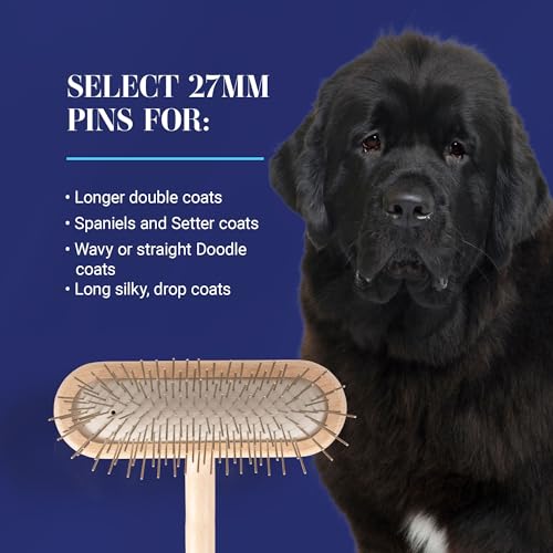 Chris Christensen Original Series 27 mm T-Brush - Dog & Cat Grooming Brush, Groom Like a Professional, Stainless Steel Pins, Lightweight Beech Wood Body, Ground and Polished Tips - size: 27mm-Regular