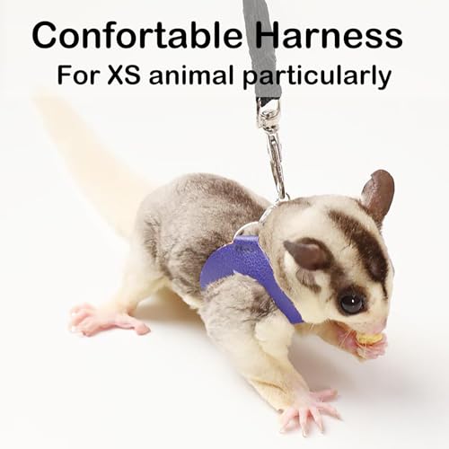 3 Pack Sugar Glider Harness and Leash Set Small Animal Training Walking Vest for Squirrel Hamster Rat Blue - color: Blue