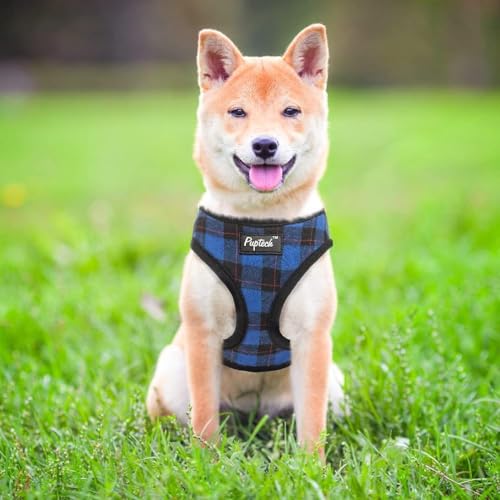 PUPTECK Soft Mesh Dog Harness and Leash Set Pet Puppy Cat Comfort Padded Vest No Pull Harnesses, Navy Blue, S - color: Navy Blue, size: S (NECK: 12", CHEST: 14"-18")